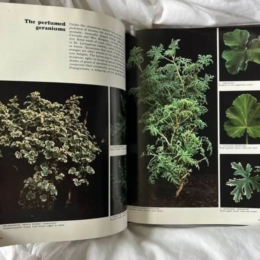 Herbs, The Time-Life Encyclopedia of Gardening